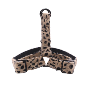 Vasatan – Cheetah tuigje