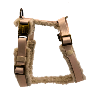 Norway – Teddy light Y-tuigje