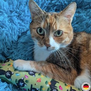 4cats Lucy Collection Speelrol gevuld met valeriaan of kattenkruid