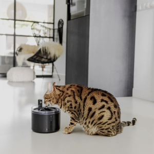 District 70 FLOW draadloze waterfontein