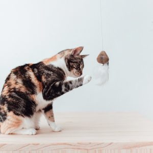 District 70 SMASH Wand Toy