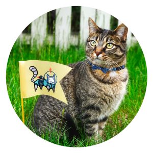 Halsband met strikje