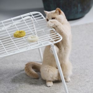 Hoopo – Mini Donuts kattenspeeltje – set van 3