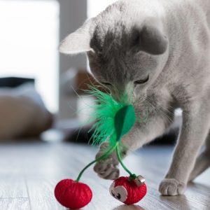 Catstages Dental Cherries Red